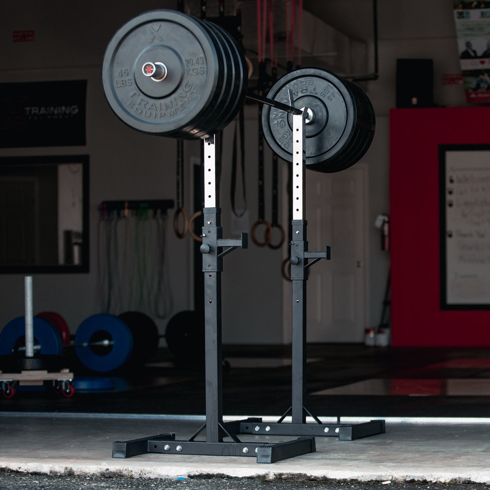 X Training Black Bumper Set + Alpha Barbell Package