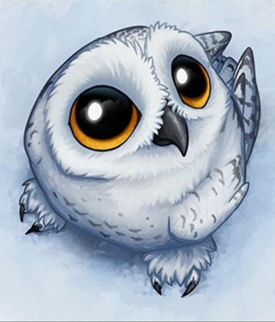 baby owl sketch