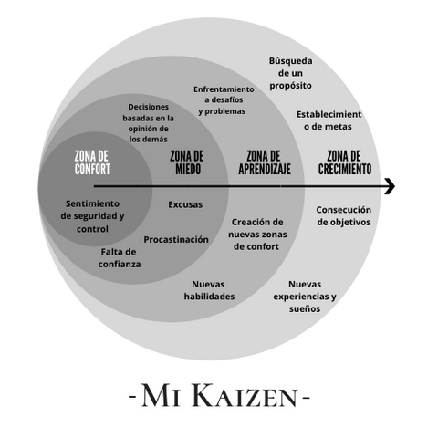 grafico zona de confort