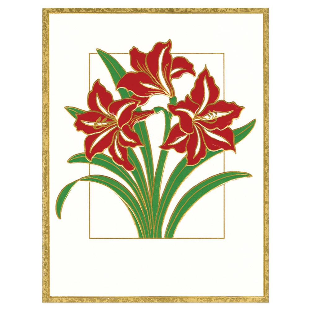 Amaryllis Embossed Blank Boxed Christmas Cards - 10 Cards & 10 Envelop –  Caspari Europe