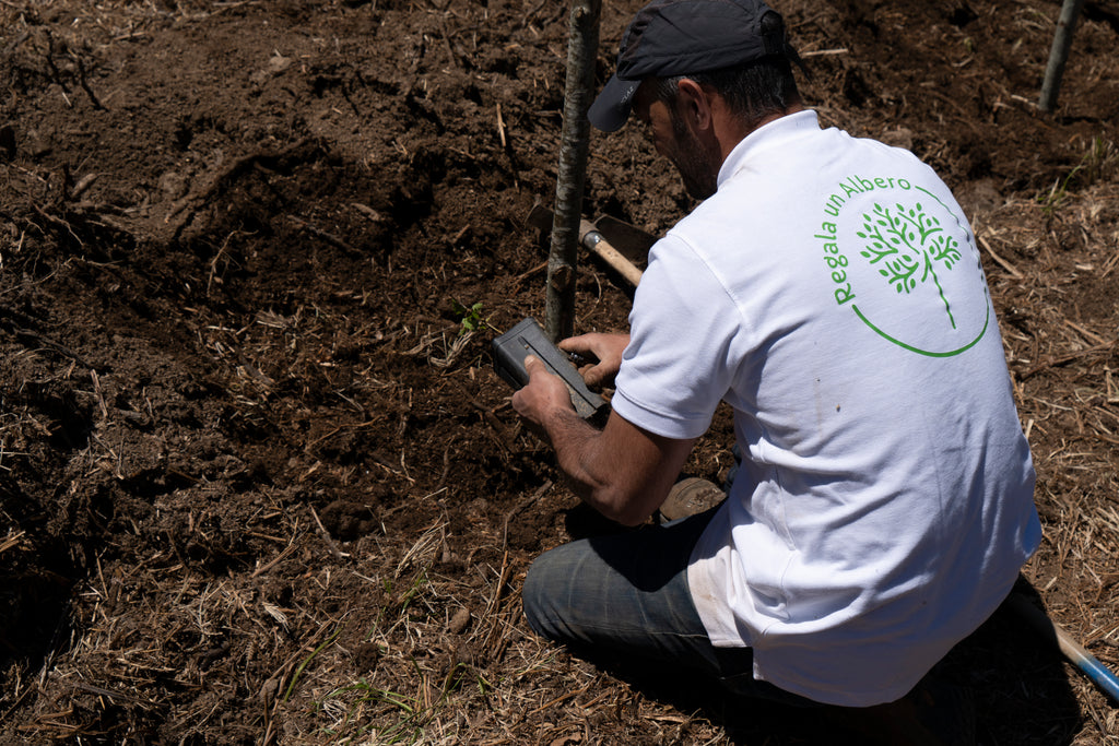 regala-un-albero-piantumazione-staff