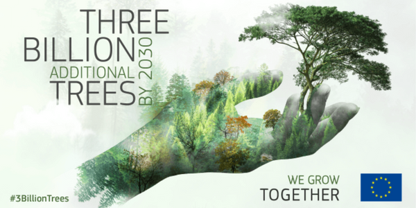 regala-un-albero-3-billion-trees-pledge-EU