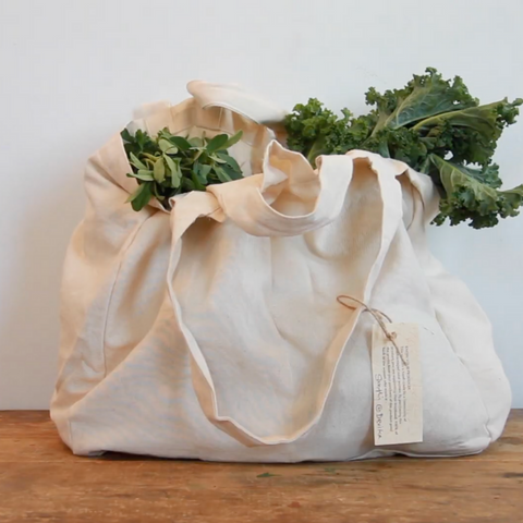 Eco friendly reusable bag