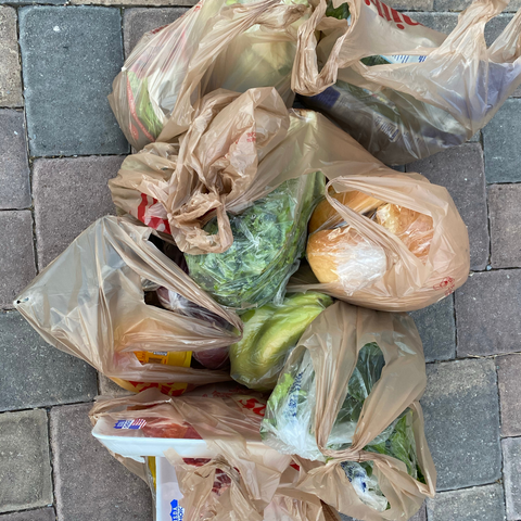 Too many plastic bags for grocery shopping