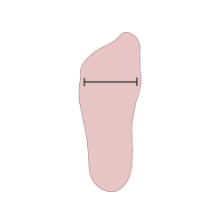 Size Guide – Ziera Shoes US