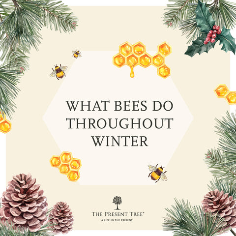 How Bees Survive in Winter