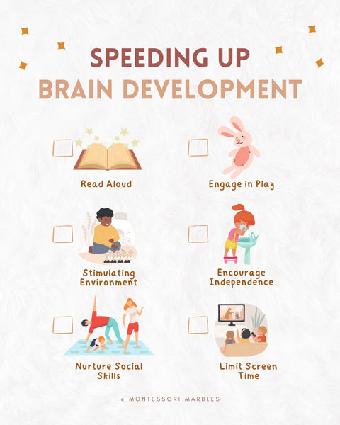 Speeding Up Toddler Brain Development
