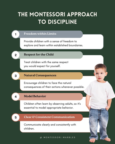 The Montessori Approach to Discipline