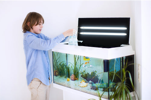TrueColor™ USB-Powered LED Light Bar - A Brighter and More