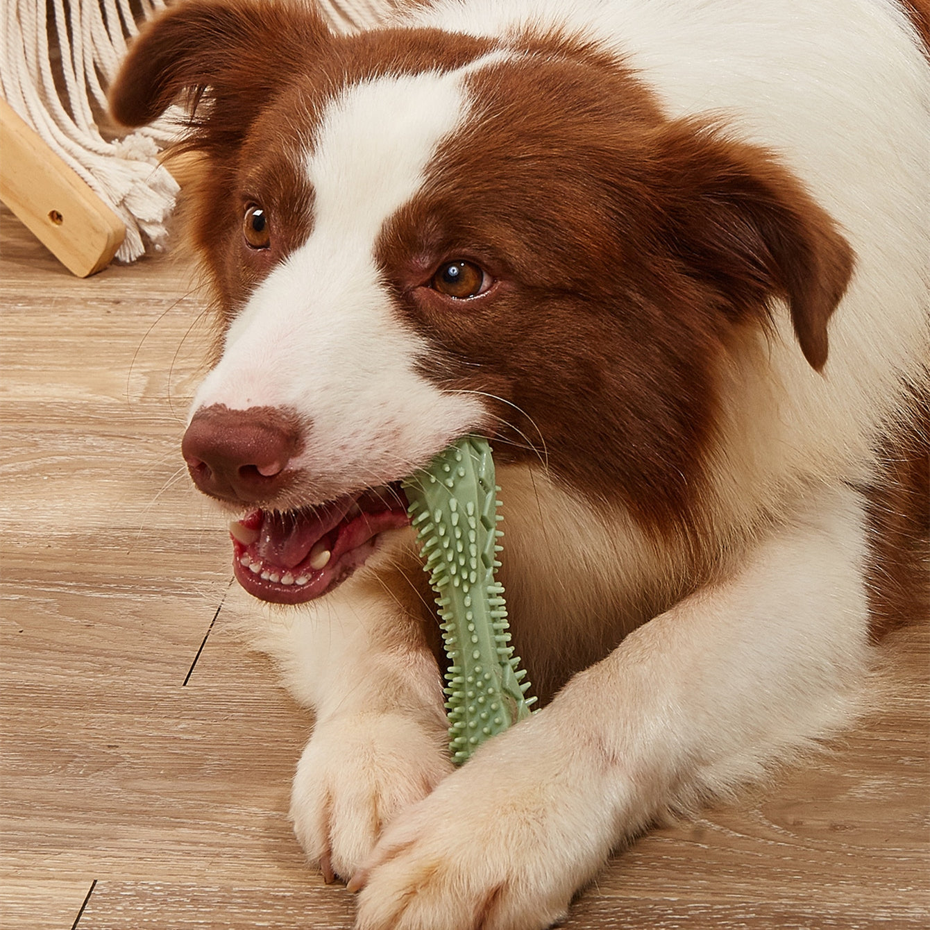 chewing-dog-chew-toys-dog-toothbrush-teeth-cleaning-kong-dog-toy-pet-toothbrushes-brushing-stick-pet-supplies-puppy-toys