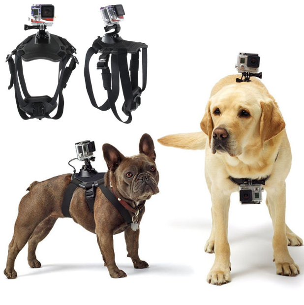 gopro-hero-dog-strap-belt-harness
