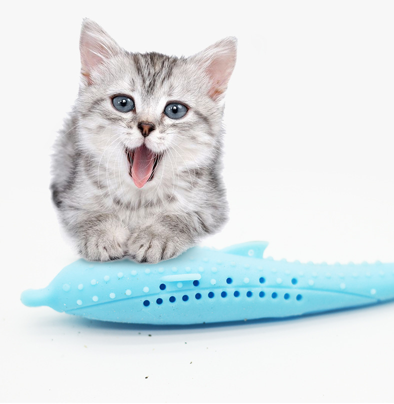 cat-toothbrush-toy