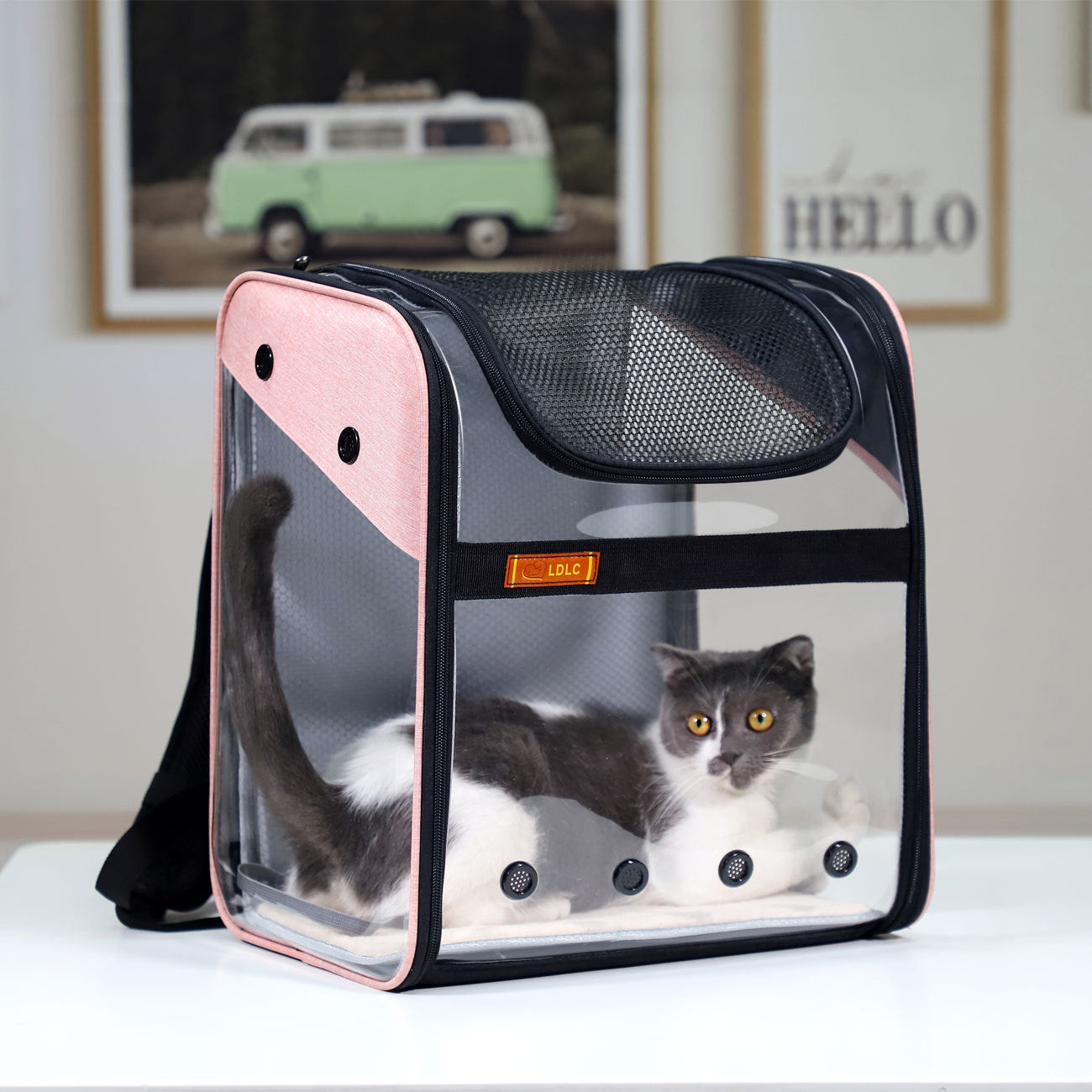 pvc-breathable-large-capacity-cat-carrying-space-capsule-cat-bag-portable-pet-dog-backpack-fold