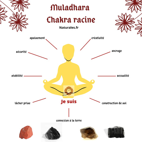Muladhara Chakra racine
