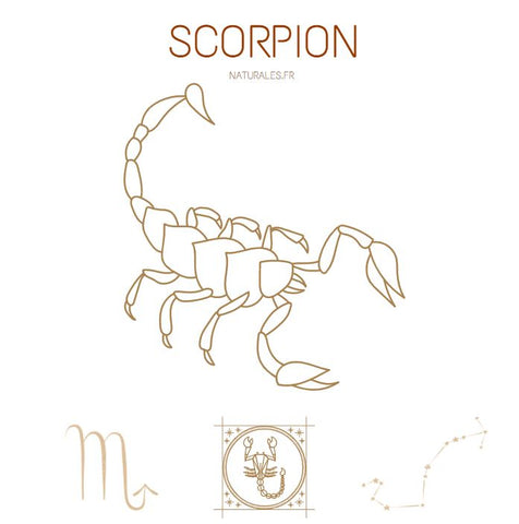 Scorpion lithothérapie