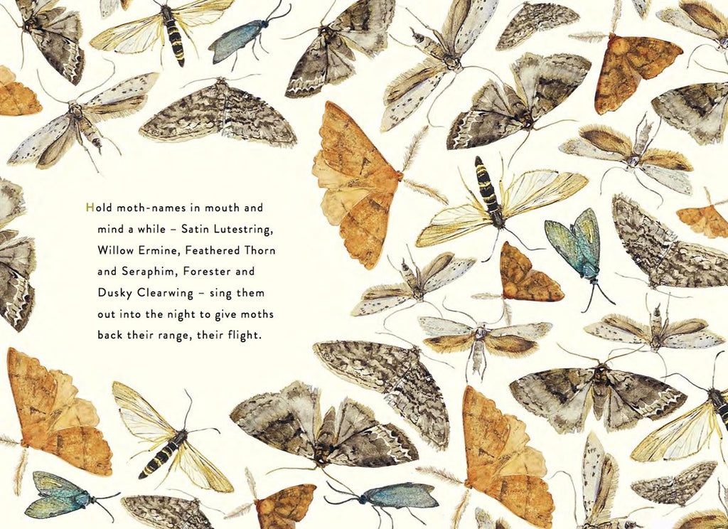 The Lost Spells by Robert Macfarlane