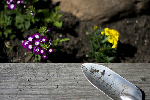 Organic Garden Compost