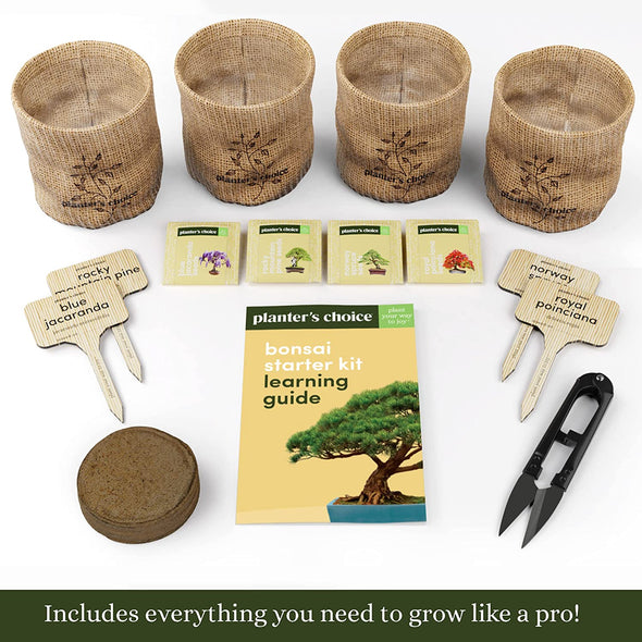 Premium Bonsai Tool Kit – planterschoice