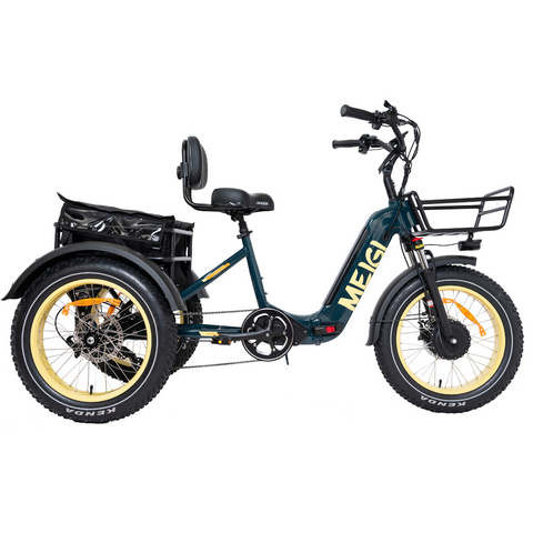 MG2301 Folding Electric Tricycle