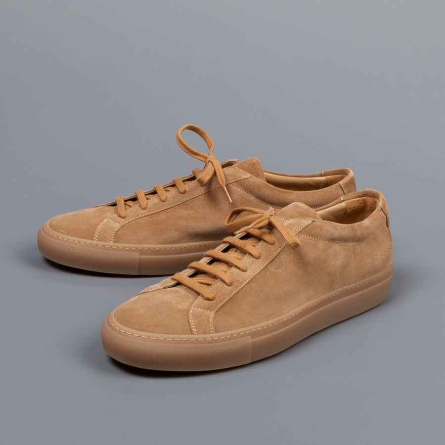 common projects tan suede