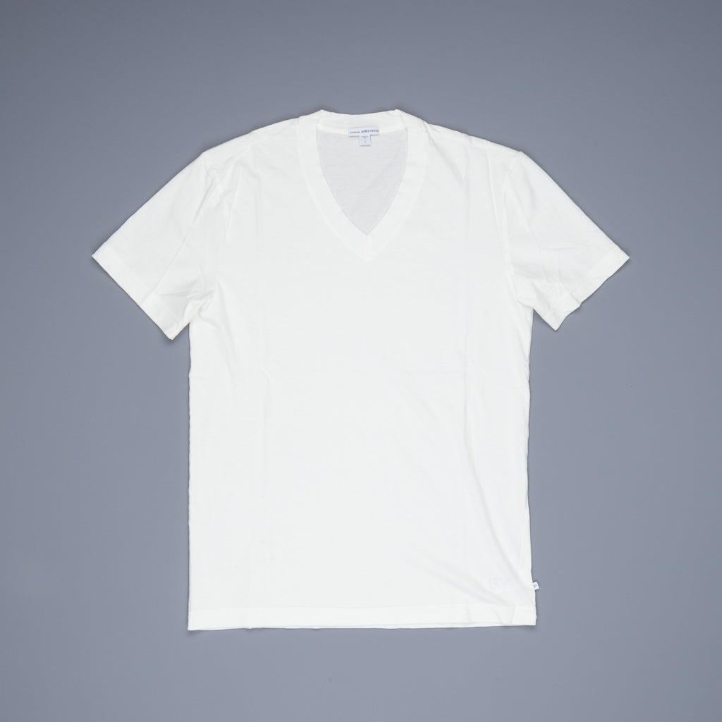 James Perse V Neck Tee Everest White