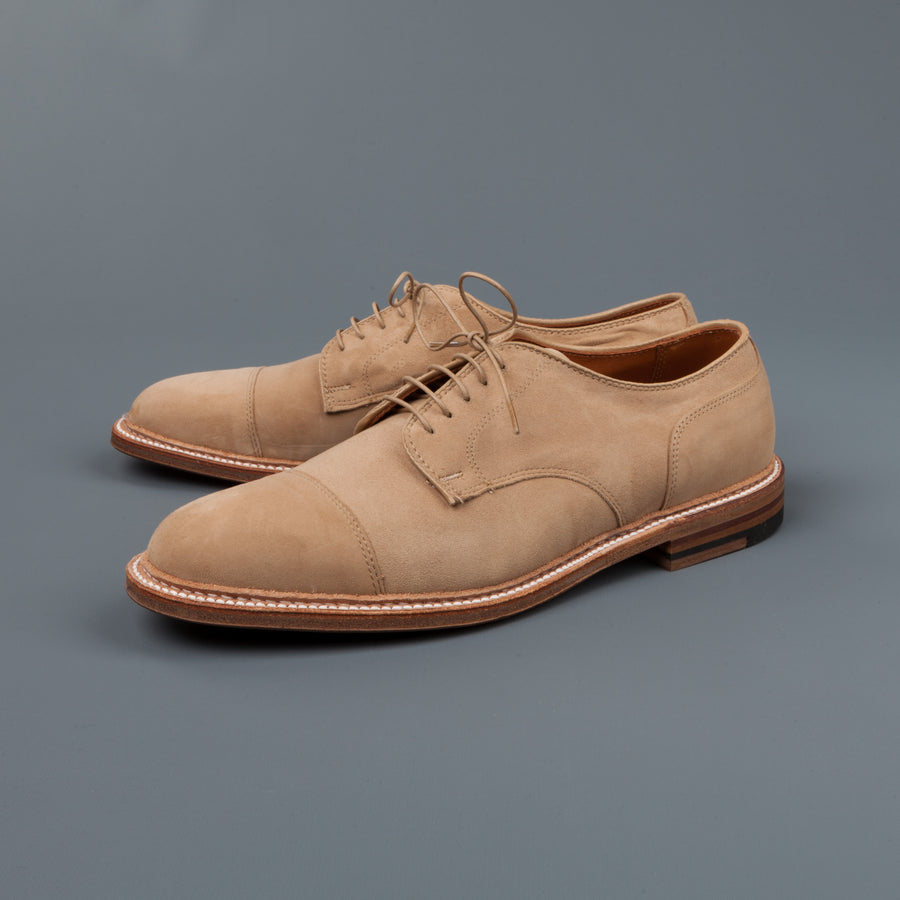 suede bluchers