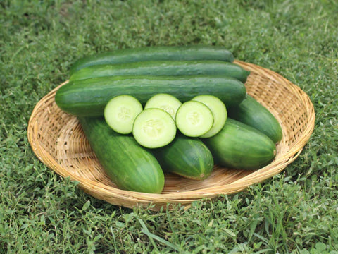 Green Finger Cucumber