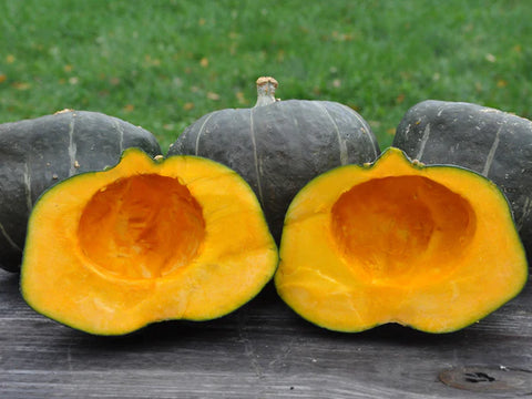 Burgess Buttercup Winter Squash