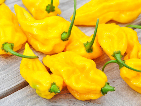 Fatalli Peppers on a table