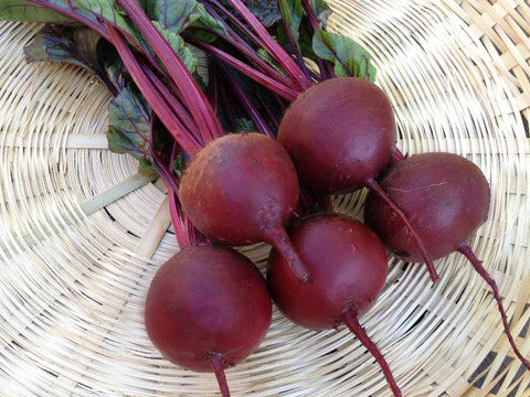 Detroit Dark Red Beet