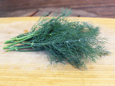 bouquet dill