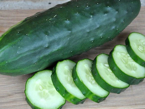 Poinsett 76 Cucumber