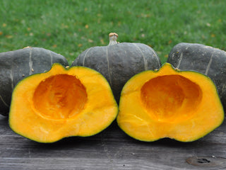 Sudduth's Pink Brandywine Tomato (Solanum lycopersicum) - Annie's