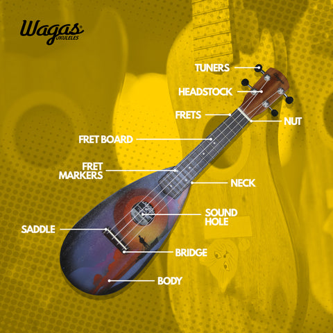 parts of ukulele illustrated by wagas ukuleles