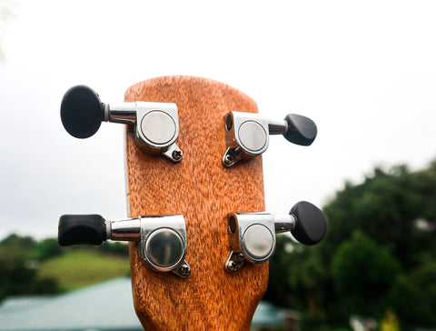 close up ukulele tuning gear peg