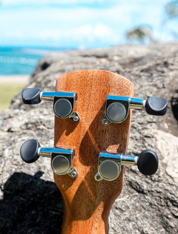 ukulele gear tuning pegs close-up picture