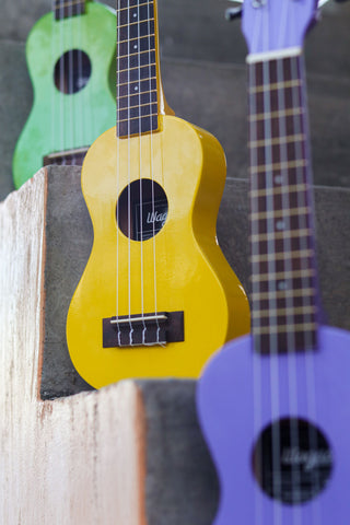 aquila string yellow green purple ukulele