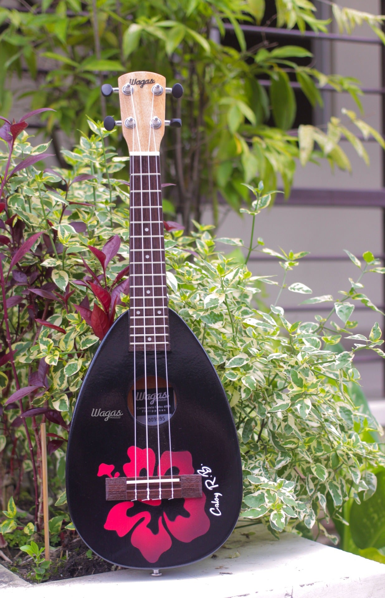 Customized Ukuleles,