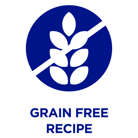 grain free recipe