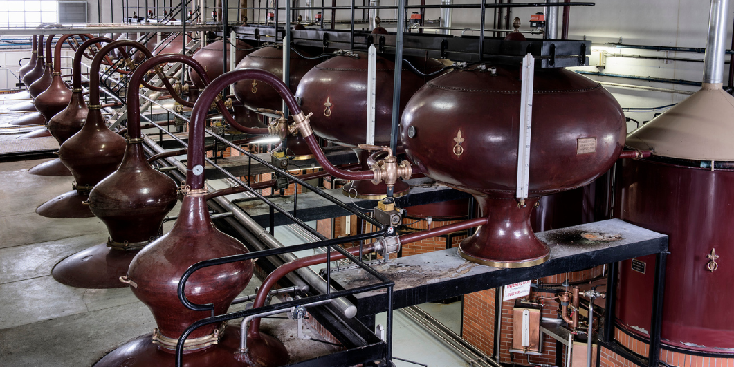 distillation cognac camus instensity