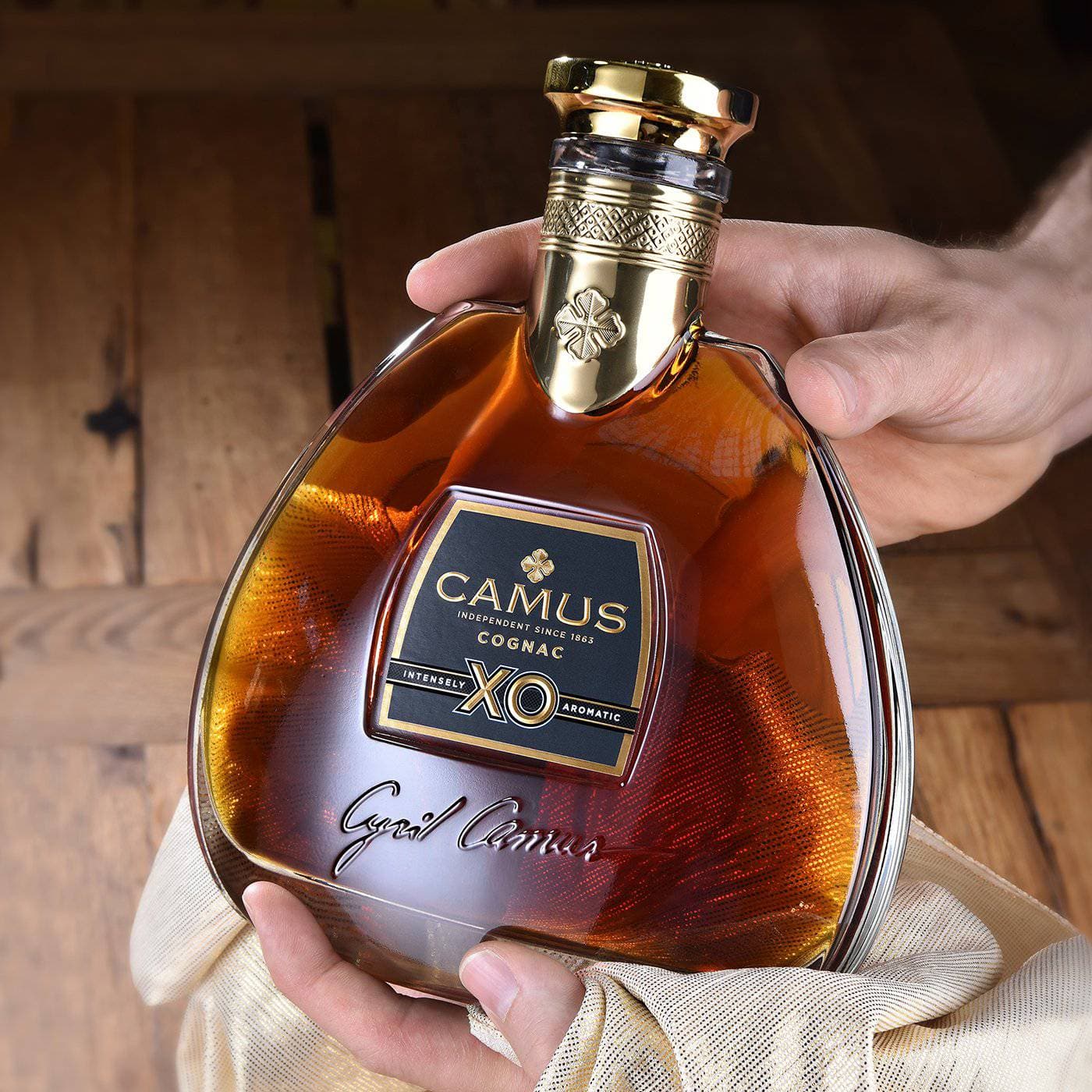 Cognac xo. Коньяк Camus XO. Камус Когнак коньяк. Коньяк Камю Хо. Коньяк 