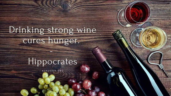 Hippocrates quote about wine