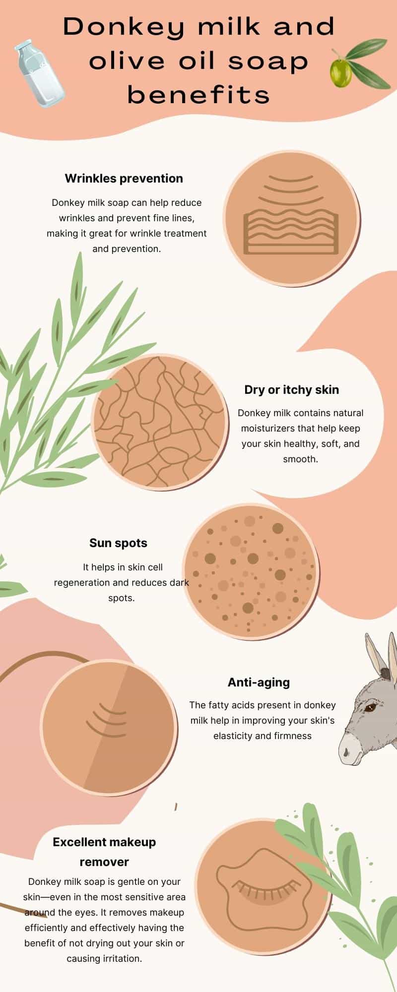 Donkey milk soap infographic