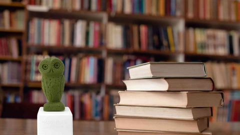 Owl figurine in a philosophers library - gift for intellectual