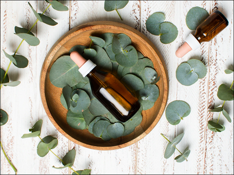 Eucalyptus Essential Oil