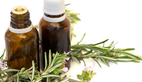 rosemary essential oil