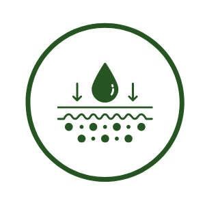 absorption of aromatic oil