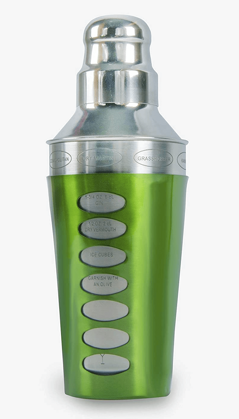 Stainless Steel Cocktail Shaker with 2 Stainless Steel Martini