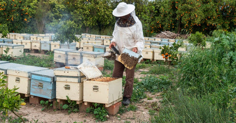 bee farming - best vegan deodorant J&L Naturals