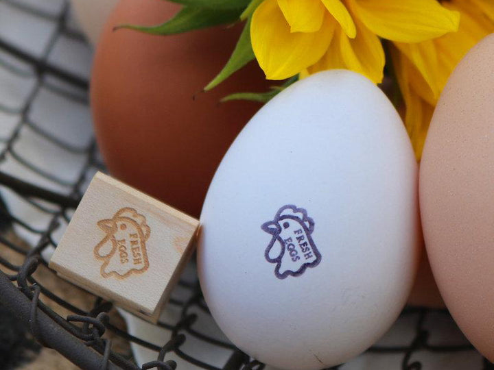 Chicken Egg Carton Stamp with Herbs Rubber Stamp